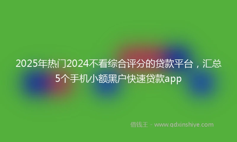 2025年热门2024不看综合评分的贷款平台，汇总5个手机小额黑户快速贷款app