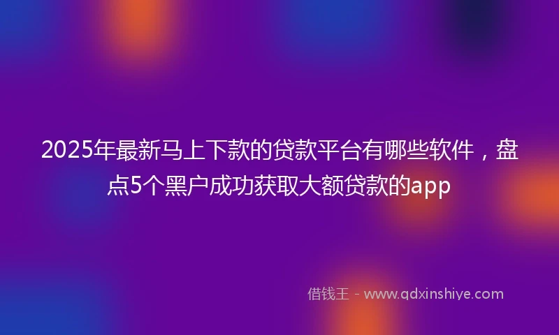 2025年最新马上下款的贷款平台有哪些软件，盘点5个黑户成功获取大额贷款的app