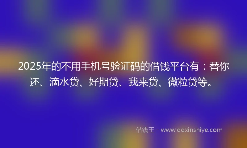 2025年的不用手机号验证码的借钱平台有：替你还、滴水贷、好期贷、我来贷、微粒贷等。