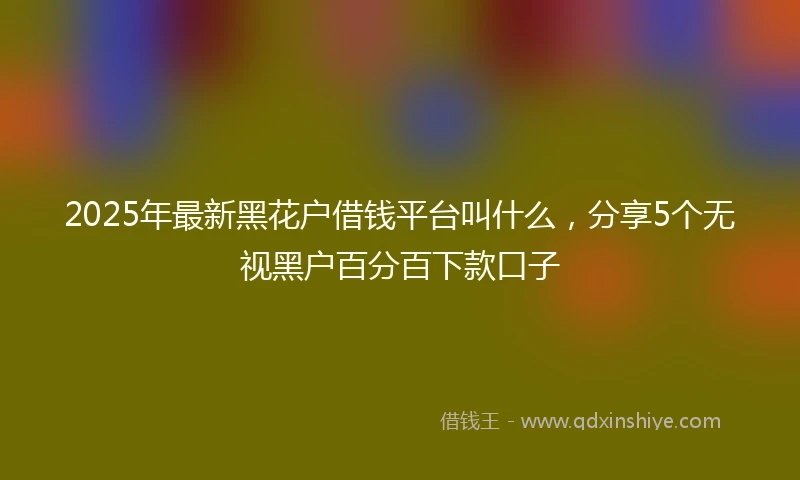 2025年最新黑花户借钱平台叫什么，分享5个无视黑户百分百下款口子
