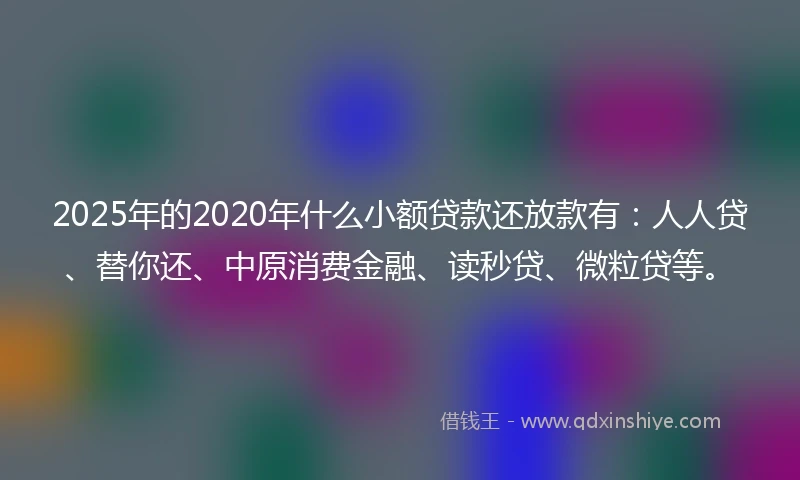 2025年的2020年什么小额贷款还放款有：人人贷、替你还、中原消费金融、读秒贷、微粒贷等。