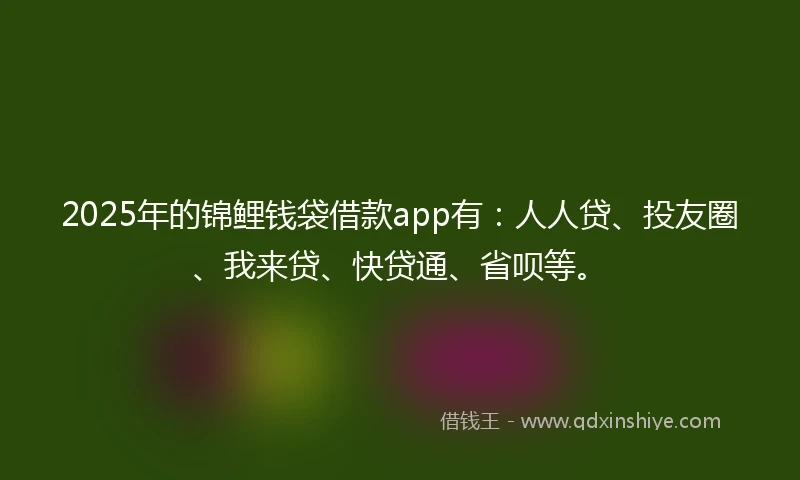 2025年的锦鲤钱袋借款app有：人人贷、投友圈、我来贷、快贷通、省呗等。