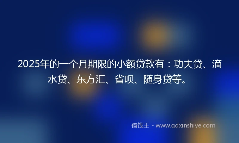 2025年的一个月期限的小额贷款有：功夫贷、滴水贷、东方汇、省呗、随身贷等。