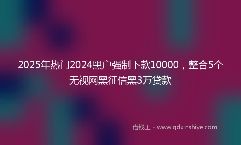 2025年热门2024黑户强制下款10000，整合5个无视网黑征信黑3万贷款