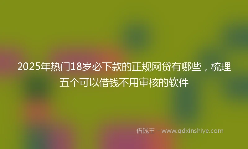 2025年热门18岁必下款的正规网贷有哪些，梳理五个可以借钱不用审核的软件