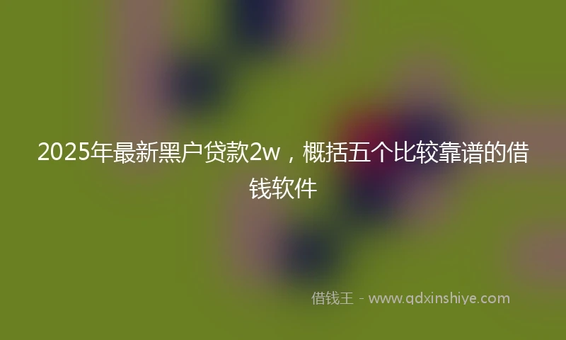 2025年最新黑户贷款2w，概括五个比较靠谱的借钱软件