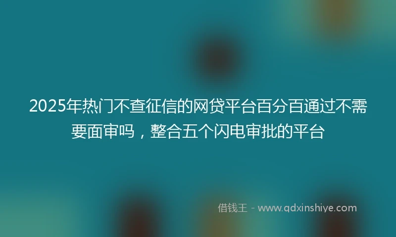 2025年热门不查征信的网贷平台百分百通过不需要面审吗，整合五个闪电审批的平台