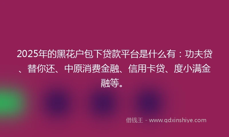 2025年的黑花户包下贷款平台是什么有：功夫贷、替你还、中原消费金融、信用卡贷、度小满金融等。