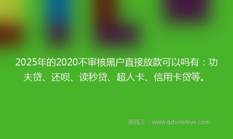 2025年的2020不审核黑户直接放款可以吗有：功夫贷、还呗、读秒贷、超人卡、信用卡贷等。