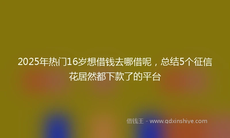 2025年热门16岁想借钱去哪借呢，总结5个征信花居然都下款了的平台
