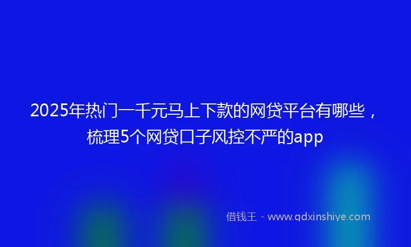 2025年热门一千元马上下款的网贷平台有哪些，梳理5个网贷口子风控不严的app