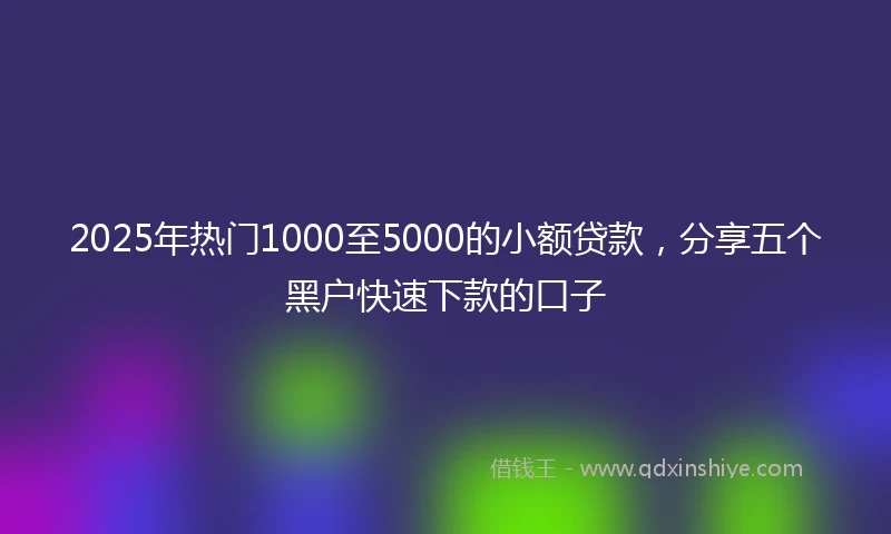 2025年热门1000至5000的小额贷款，分享五个黑户快速下款的口子