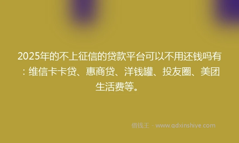 2025年的不上征信的贷款平台可以不用还钱吗有：维信卡卡贷、惠商贷、洋钱罐、投友圈、美团生活费等。