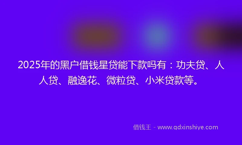 2025年的黑户借钱星贷能下款吗有：功夫贷、人人贷、融逸花、微粒贷、小米贷款等。