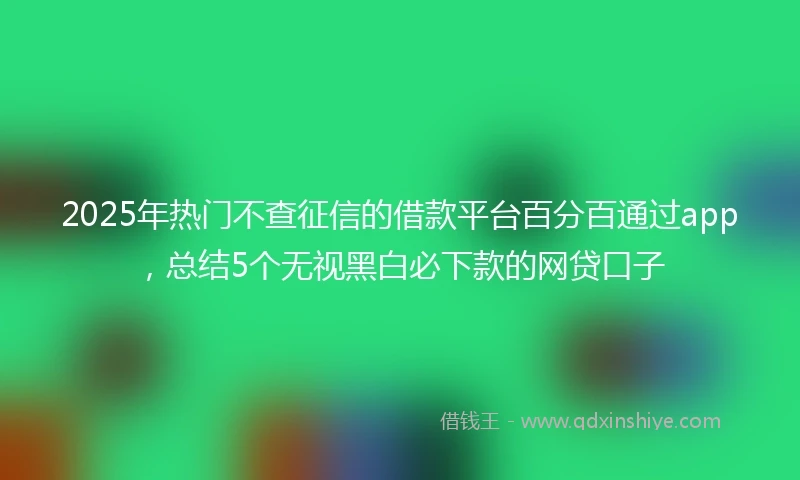 2025年热门不查征信的借款平台百分百通过app，总结5个无视黑白必下款的网贷口子