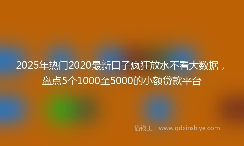 2025年热门2020最新口子疯狂放水不看大数据，盘点5个1000至5000的小额贷款平台