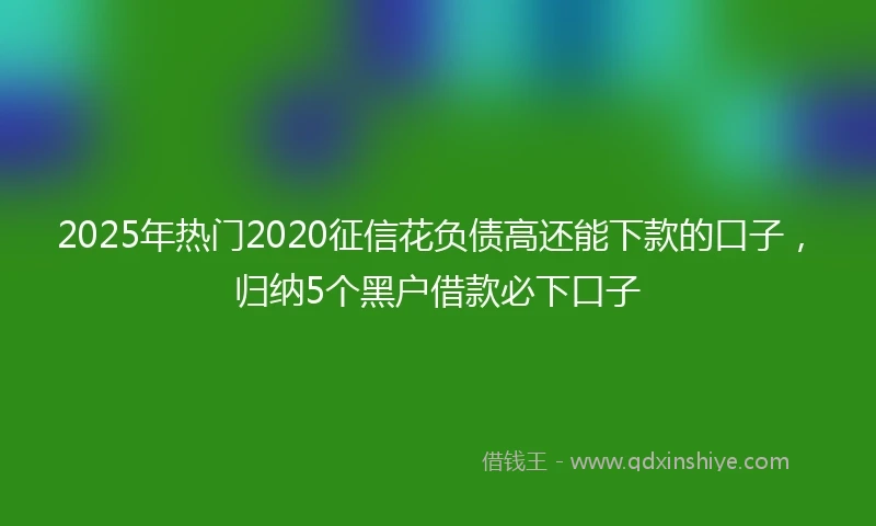 2025年热门2020征信花负债高还能下款的口子，归纳5个黑户借款必下口子