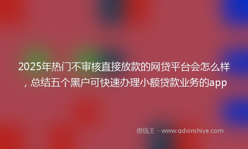 2025年热门不审核直接放款的网贷平台会怎么样，总结五个黑户可快速办理小额贷款业务的app