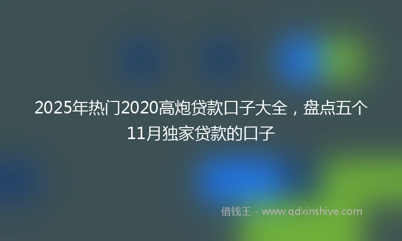 2025年热门2020高炮贷款口子大全，盘点五个11月独家贷款的口子