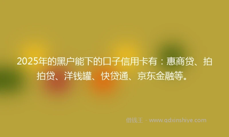 2025年的黑户能下的口子信用卡有：惠商贷、拍拍贷、洋钱罐、快贷通、京东金融等。