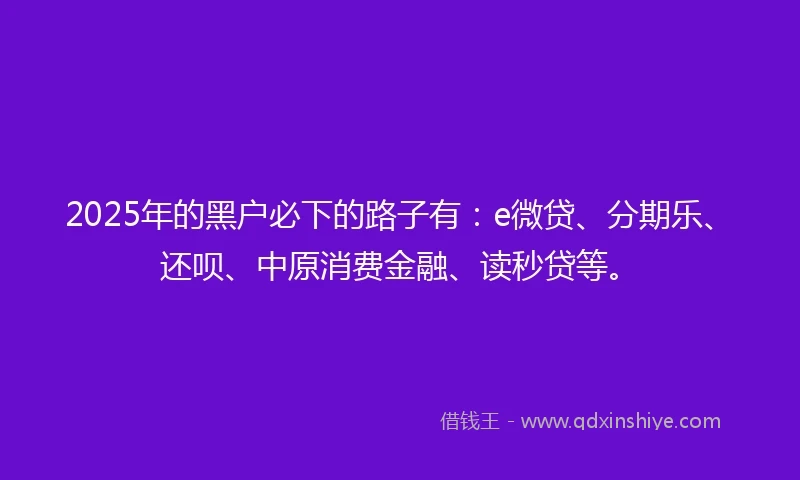 2025年的黑户必下的路子有：e微贷、分期乐、还呗、中原消费金融、读秒贷等。