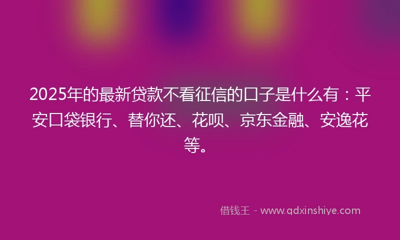 2025年的最新贷款不看征信的口子是什么有：平安口袋银行、替你还、花呗、京东金融、安逸花等。