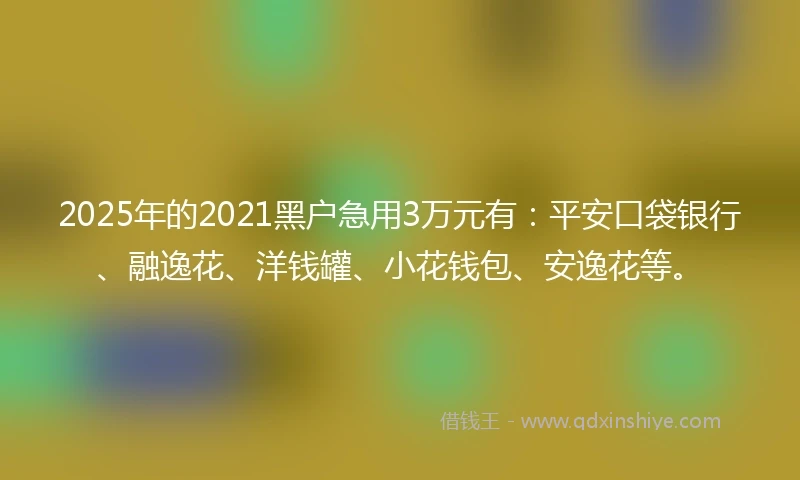 2025年的2021黑户急用3万元有：平安口袋银行、融逸花、洋钱罐、小花钱包、安逸花等。