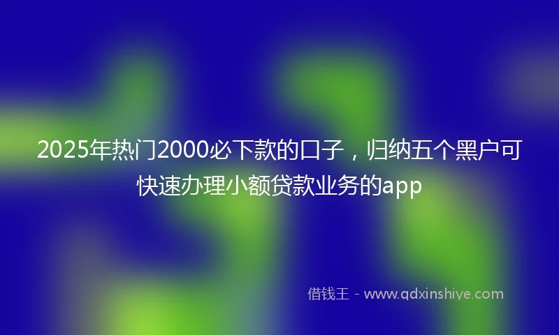 2025年热门2000必下款的口子，归纳五个黑户可快速办理小额贷款业务的app