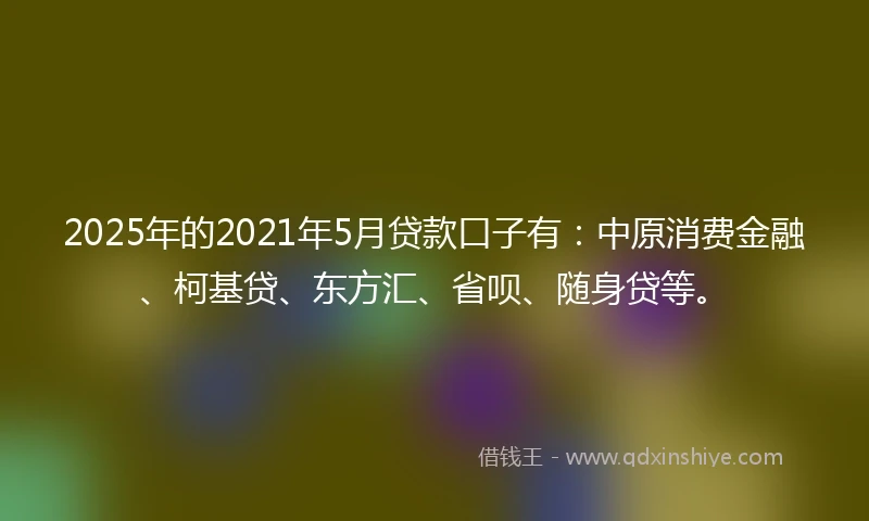 2025年的2021年5月贷款口子有：中原消费金融、柯基贷、东方汇、省呗、随身贷等。
