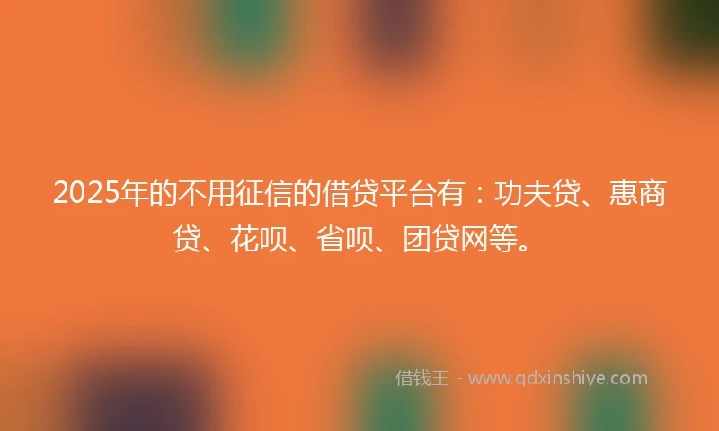 2025年的不用征信的借贷平台有：功夫贷、惠商贷、花呗、省呗、团贷网等。