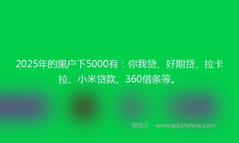 2025年的黑户下5000有：你我贷、好期贷、拉卡拉、小米贷款、360借条等。