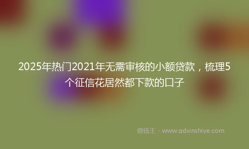 2025年热门2021年无需审核的小额贷款，梳理5个征信花居然都下款的口子