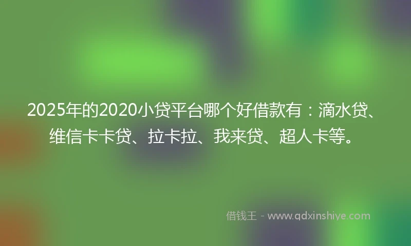 2025年的2020小贷平台哪个好借款有：滴水贷、维信卡卡贷、拉卡拉、我来贷、超人卡等。