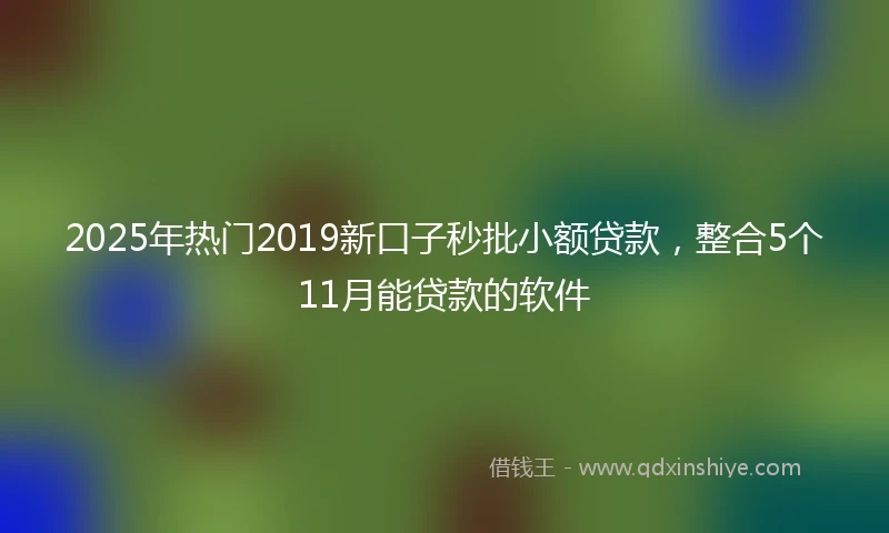 2025年热门2019新口子秒批小额贷款，整合5个11月能贷款的软件