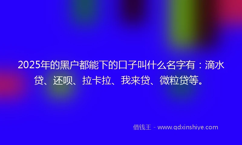 2025年的黑户都能下的口子叫什么名字有：滴水贷、还呗、拉卡拉、我来贷、微粒贷等。