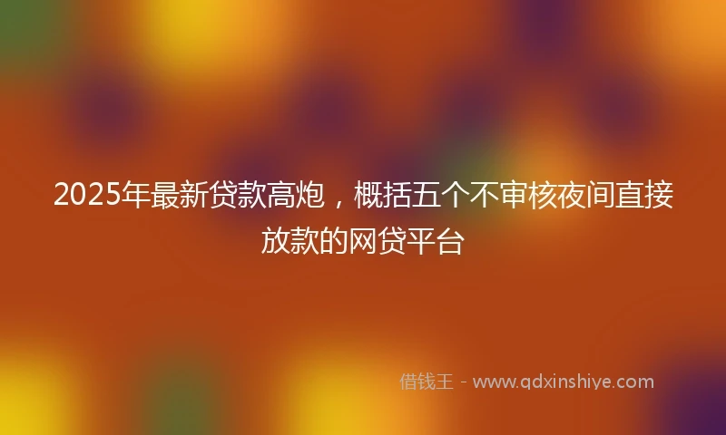 2025年最新贷款高炮，概括五个不审核夜间直接放款的网贷平台