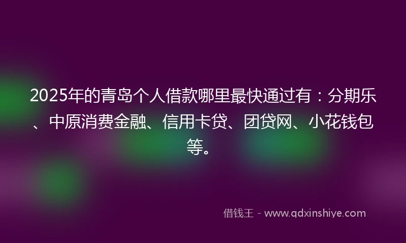 2025年的青岛个人借款哪里最快通过有：分期乐、中原消费金融、信用卡贷、团贷网、小花钱包等。