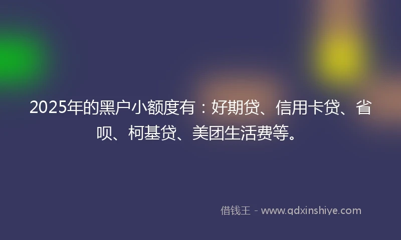 2025年的黑户小额度有：好期贷、信用卡贷、省呗、柯基贷、美团生活费等。