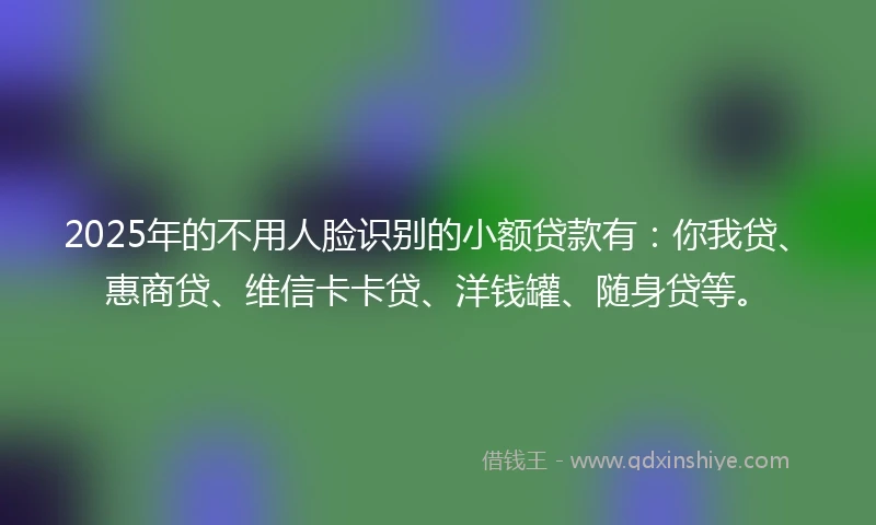 2025年的不用人脸识别的小额贷款有：你我贷、惠商贷、维信卡卡贷、洋钱罐、随身贷等。