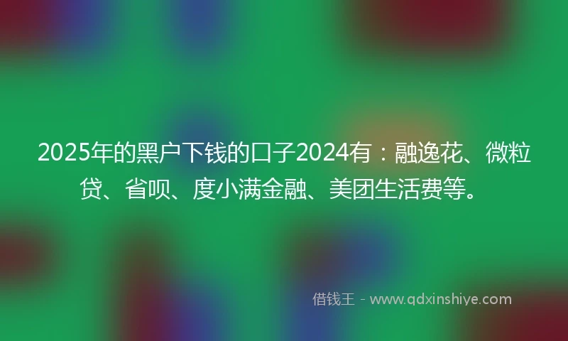 2025年的黑户下钱的口子2024有：融逸花、微粒贷、省呗、度小满金融、美团生活费等。