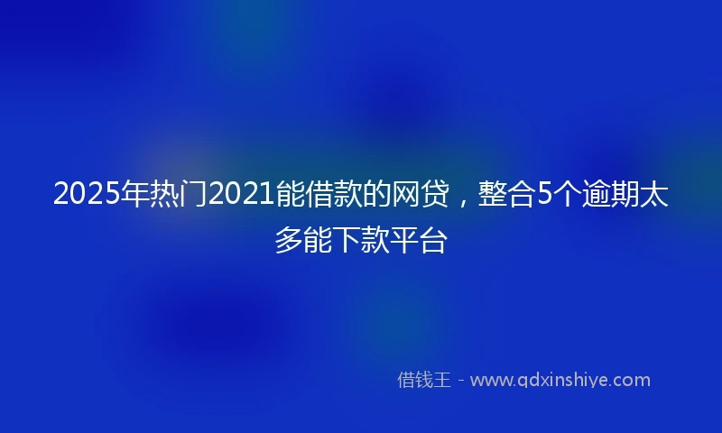 2025年热门2021能借款的网贷，整合5个逾期太多能下款平台