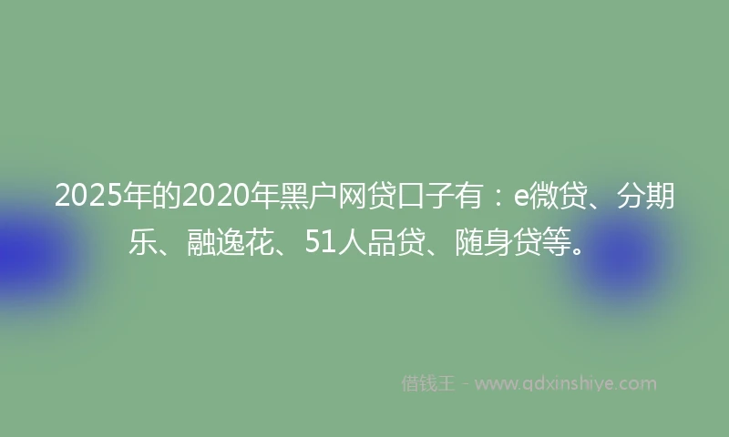 2025年的2020年黑户网贷口子有：e微贷、分期乐、融逸花、51人品贷、随身贷等。