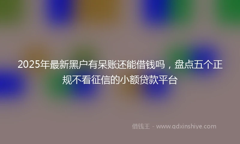 2025年最新黑户有呆账还能借钱吗，盘点五个正规不看征信的小额贷款平台