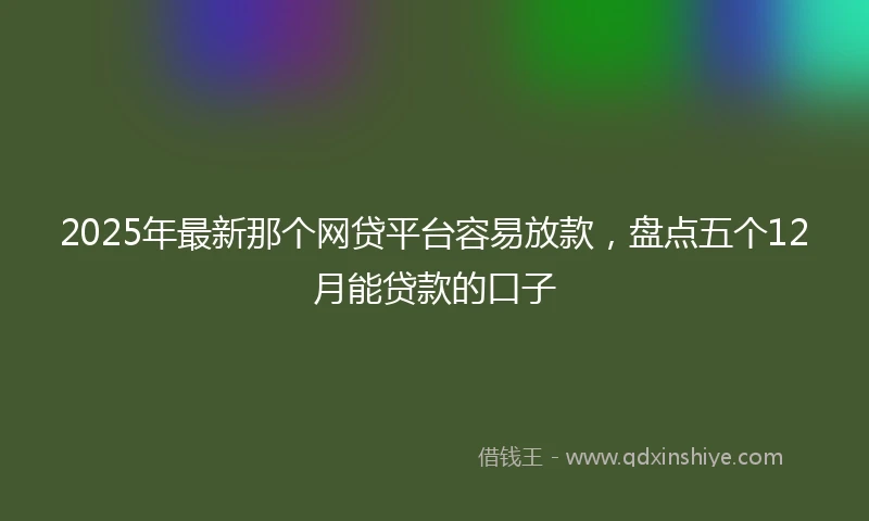 2025年最新那个网贷平台容易放款，盘点五个12月能贷款的口子