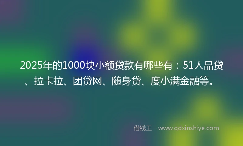 2025年的1000块小额贷款有哪些有：51人品贷、拉卡拉、团贷网、随身贷、度小满金融等。