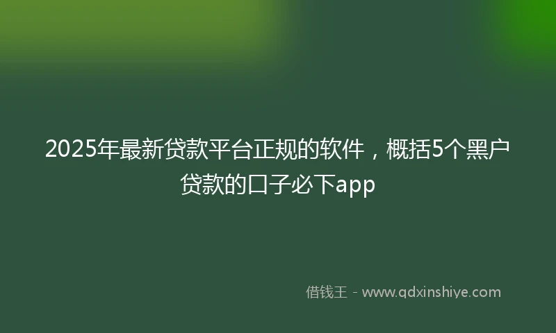 2025年最新贷款平台正规的软件，概括5个黑户贷款的口子必下app