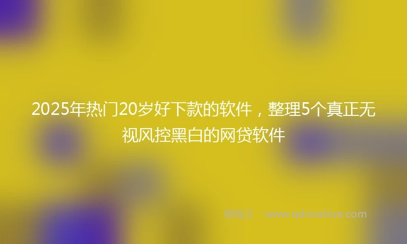 2025年热门20岁好下款的软件，整理5个真正无视风控黑白的网贷软件