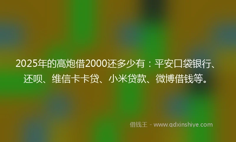 2025年的高炮借2000还多少有：平安口袋银行、还呗、维信卡卡贷、小米贷款、微博借钱等。