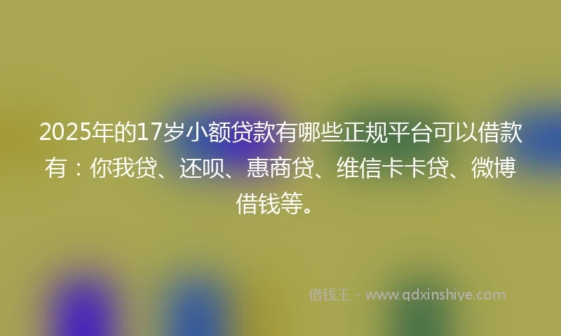 2025年的17岁小额贷款有哪些正规平台可以借款有：你我贷、还呗、惠商贷、维信卡卡贷、微博借钱等。