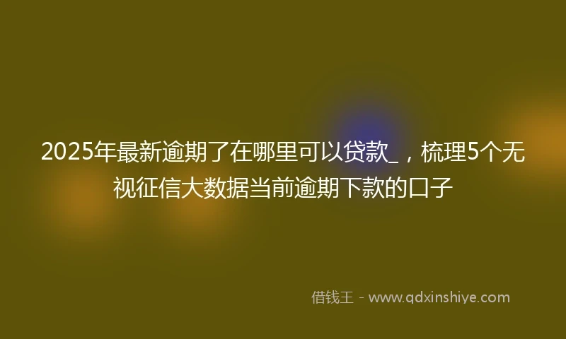 2025年最新逾期了在哪里可以贷款_，梳理5个无视征信大数据当前逾期下款的口子